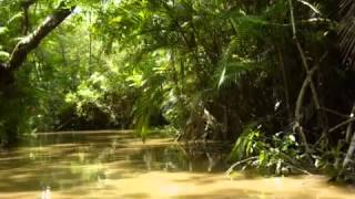 Buddha Bar IX   Wood Street   Serafim Tsotsonis