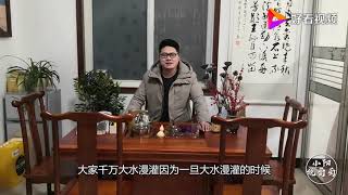 葡萄早春时节需要浇水吗？有哪些判断依据？听小阳怎么说