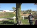 Dub Ess Dee WSD Random Footage