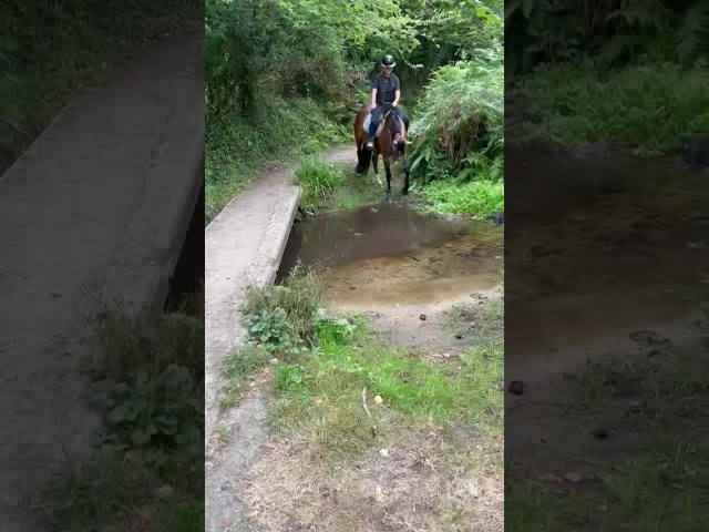 trotteuse 4 ans pour loisir