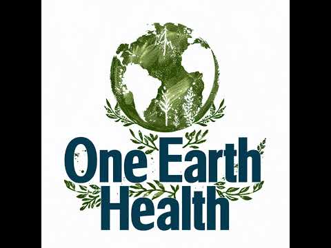 Seed Oils: The Silent Killer in Your Kitchen