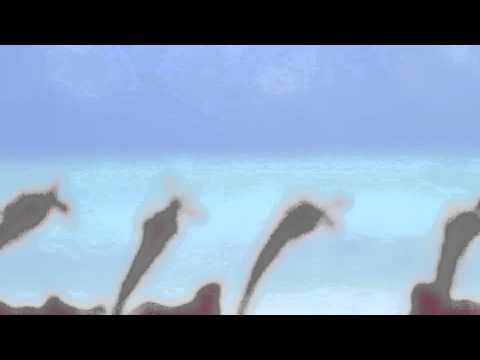 Maamalugaa   -    Dinba Music