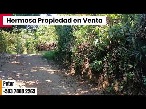 Dos casas con Dos Manzanas de Terreno en El Congo Santa Ana.