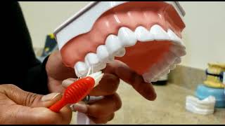 Donāt you want a healthy healthy smile. Check these effective brushing techniques