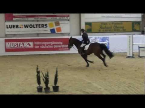 Copin van de Broy nach der Winterpause / M* Springen in Borken 02/2012