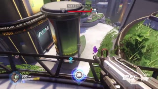 ［OW］オーバーウォッチ！猫好き集まれ！！
