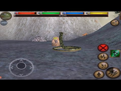 Ultimate Anaconda VS Lion, Tiger, Leopard, Gorilla, Chimp