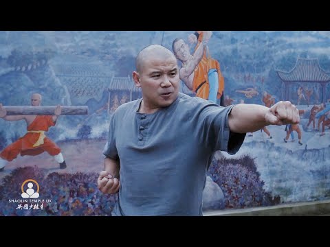 Powerful Shaolin Kung Fu Punch - Basics Tutorial