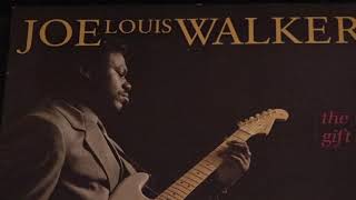 Thin Line-Joe Louis Walker-STD 305m turntable-Ortofon 2M Bronze-Sansui G8000-Mirage M-1si Speakers