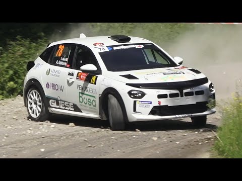 RALLY DUE VALLI 2025 🐄 | Big Show, Many Mistakes, Flat Out & Crash