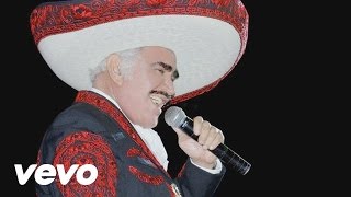 Vicente Fernández - Un Hombre Con Suerte (Cover Audio)