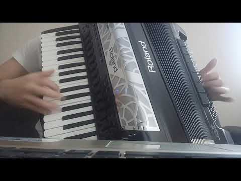 Trompeten Echo - akordeon (Slavko Avsenik, Na Golici)