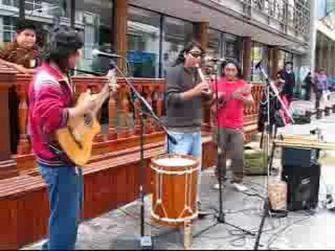 Reina Del Tamarugal video