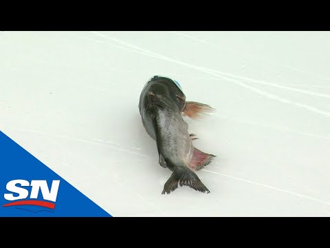Catfish Wearing Mask Delays Start Of Blue Jackets And Predators