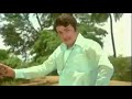Mgr Song