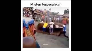 Download lagu Zangbeto EXPOSED mp3