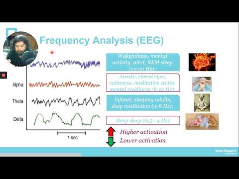 Types of EEG