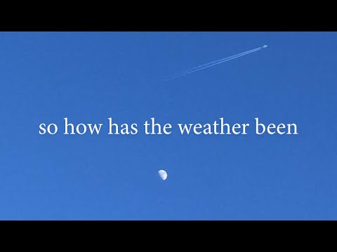 fishkid - so how has the weather been (Official Lyric Video)