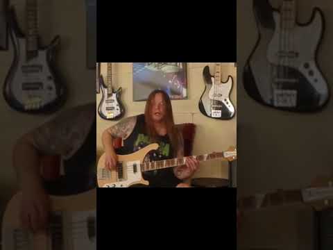 Rex's MONSTER bass under Dime's insane shred on Pantera  - Where You Come From 🤘