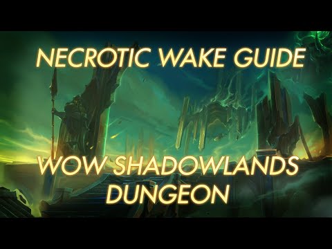 Necrotic Wake Guide | WoW Shadowlands Dungeon