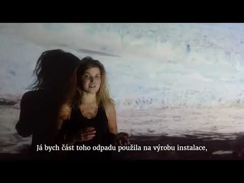 Sněhová vločka v boji za čistou Antarktidu.