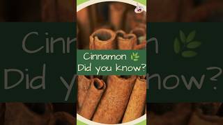 Download lagu The Benefits of #Cinnamon mp3