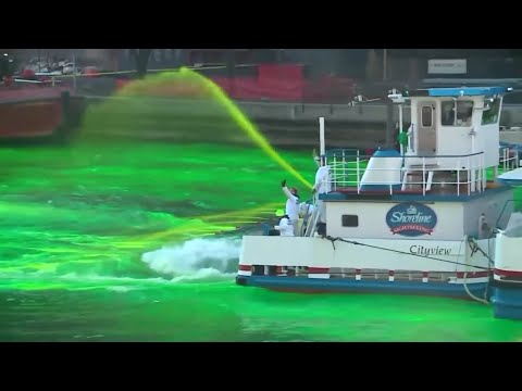 Saint Patrick's Day Celebration ESL/ESOL A1 A2 Video