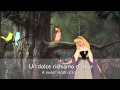 Sleeping Beauty I Wonder Italian S T