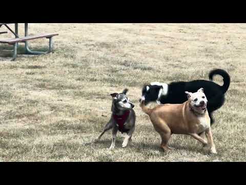 1 de septiembre de 2025