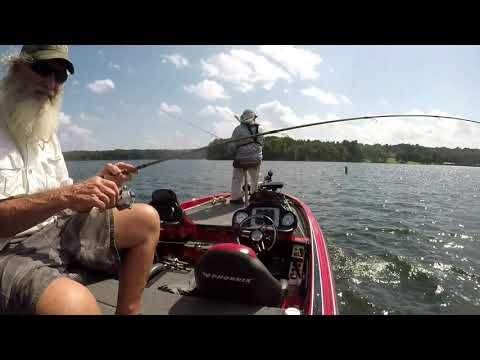 September 3 & 8, 2020 Lake Anna