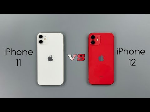 iPhone 11 Vs iPhone 12 Speed Test & Camera Comparison 2025