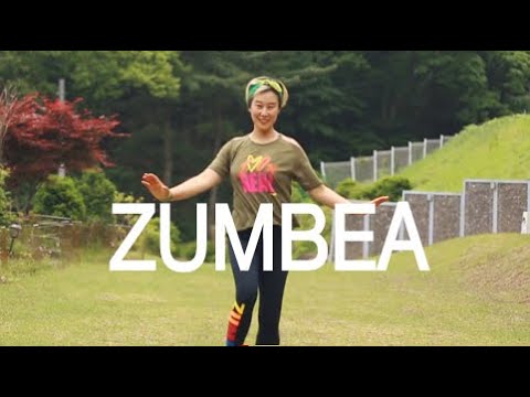 ZUMBA WITH BESTIE / Zumbea / Salsa / zumba / Mega Mix 60 / Dante Vargas & the cat band