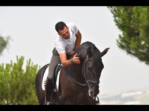 POETA DE SUSAETA - Trainning for world championship for young  horses 2017