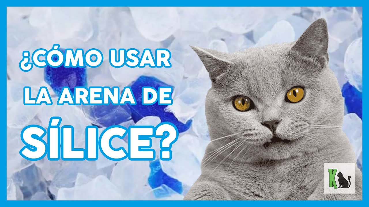 Watch Cómo se usa la arena de silice para gatos 💎 Now Cómo se usa la arena de silice para gatos 💎