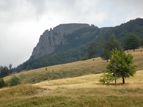 Gutin-hegység, Kakastaréj