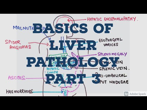  BASICS OF LIVER PATHOLOGY II PART 1 II SYSTEMIC PATHOLOGY II LIVER II ROBBINS 10TH EDITION