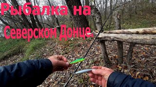 Отдых и рыбалка на северском донце харьковская область