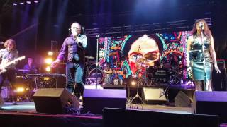 Steve Kilbey - Unguarded Moment