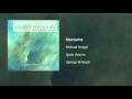 Michael Hoppé - Nocturne