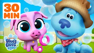 30 MINUTES of Farmer Blue & Baby Farm Animals! 👨🌾 | Blue's Clues & You!
