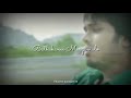 Puttukatho Nee Adugu Sad Song WhatsApp Status Oke Oka Jivitam Mr Nookayya
