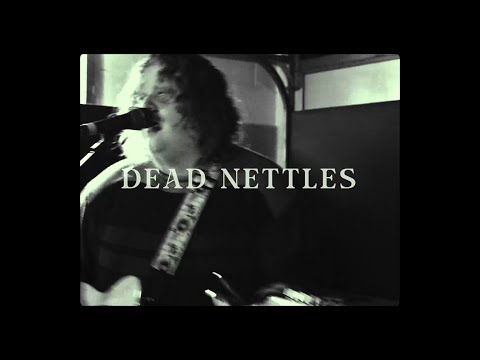 The Low Blow - Dead Nettles (LIVE at Pillowfort Studios)