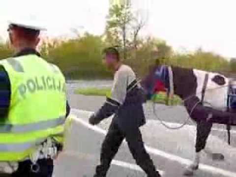 Autopilot po Serbsku