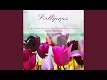 Zino-Zina: Gavotte