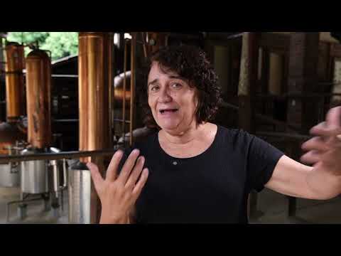Alepi Repórter viaja pelas tradições culturais e históricas de Amarante (28.05.26)