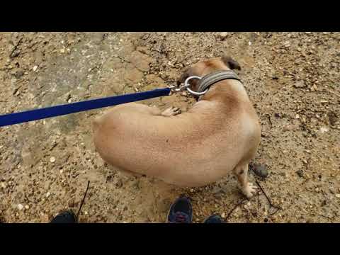 overlooking Paragon Bay