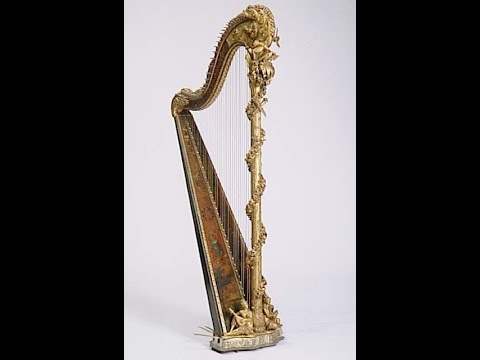 Titanic -My Heart Will Go On~harpist Erika
