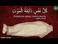 Kullu Nafsin Zaikatul Maut Whatsapp Status Islamic Status Beautiful Status