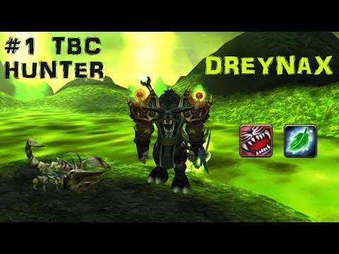 [TBC 2v2] Multiglads Hunter / Druid [BM/Resto 29.06.2017]