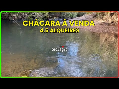 🌱 4.5 ALQ SÃO MIGUEL DO PASSA QUATRO - CHÁCARA À VENDA EM GOIÁS [DUPLA APTIDÃO] #fazenda #tec2agro